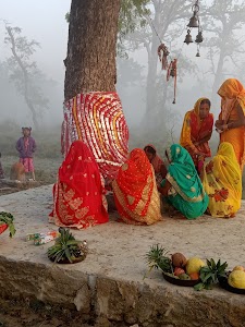 वनशक्ति माता मंदिर