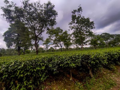 Gairkata