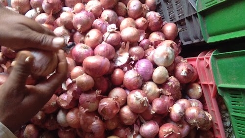 Asodar Vegetable Market Gurukhupa Trading 38