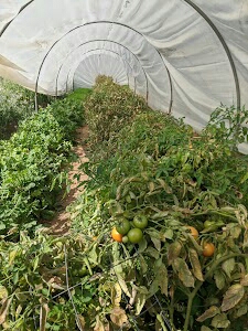 Anokhi Farms