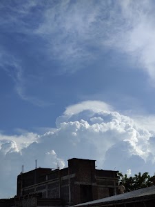 Pandurang Baug