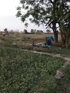 Dwarikapur