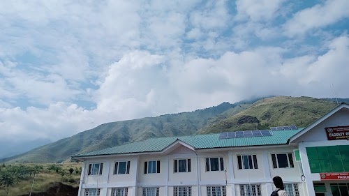 Faculty of forestry