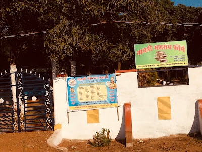 Gayatri mushroom farm
