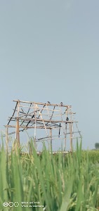 Panchayat Bhawan Fulwariya Korha Katihar Bihar