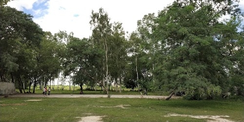 RUBBER FACTORY LAND