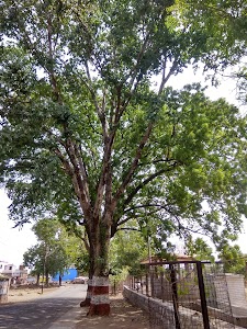 Mohpa