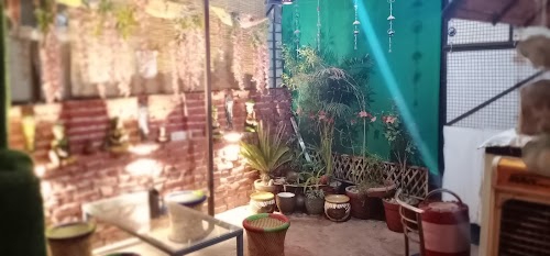 Tapri restorant
