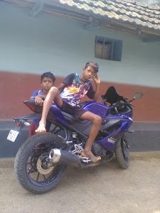 Tinsolia