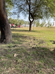 Biodiversity Park sector 137