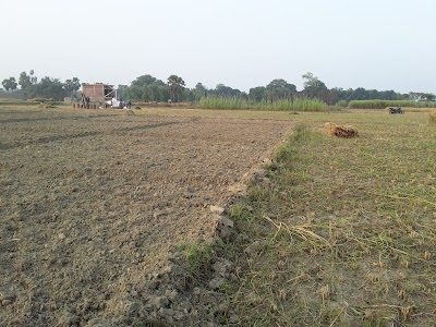 Jakhar