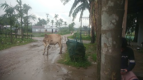 Harbhanga gssai gaon