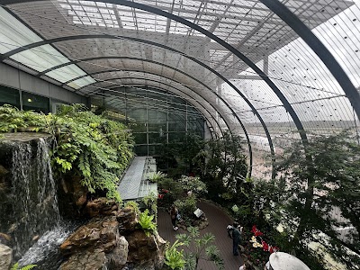 Butterfly Garden Terminal 3