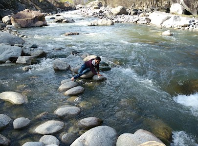 Manali Honeymoon Trips