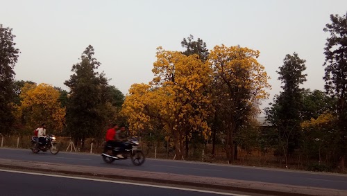 Industrial Area N0-1, Dewas M.P.