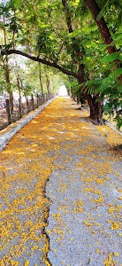 Spaghetti Housing Complex, Sector 15, Kharghar