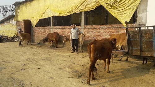 Nagina Farms