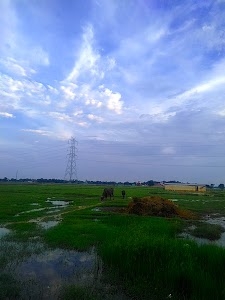 Utarai