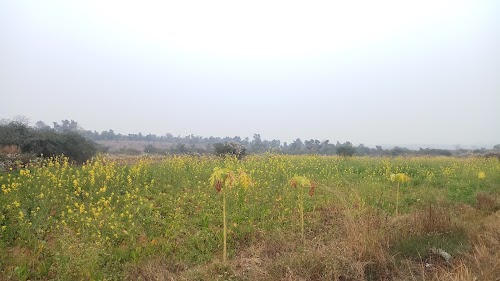 Bandhdih