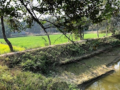 Dhalpal