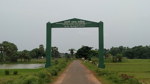 Balia