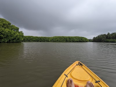 Kodi Bengare