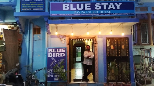 Blue Bird / Blue Stay
