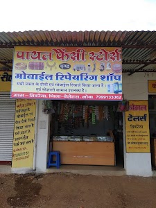 payal fancy store