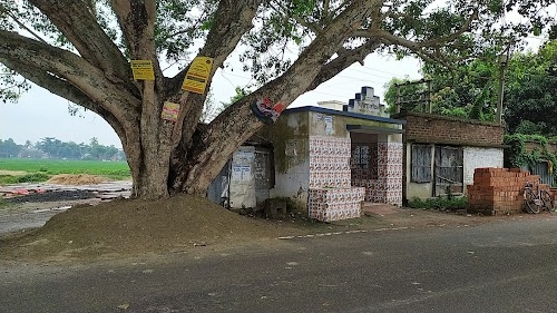 Dariapur