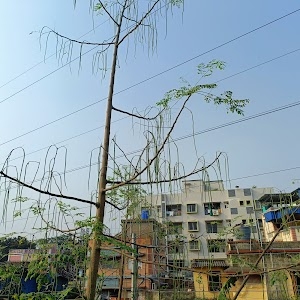 Kasturi Park