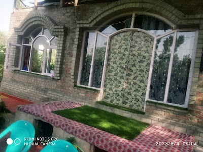 Nigeen view house
