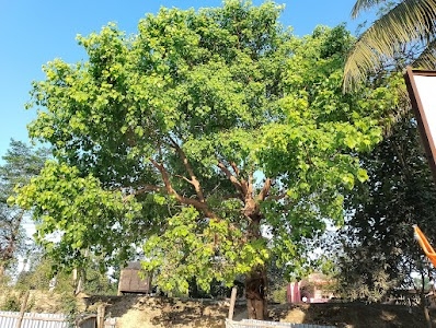 Radha Krishna Temple