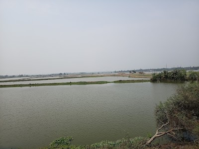 Beliaghata Bridge