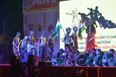 Priya Bharti public school, lodipur