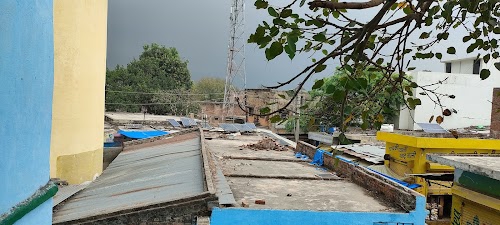 Pali hardoi