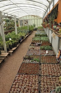 Nature Green Nursery