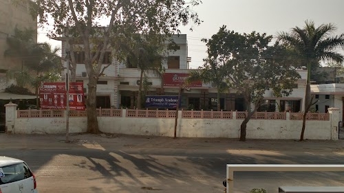 Triumph Academy