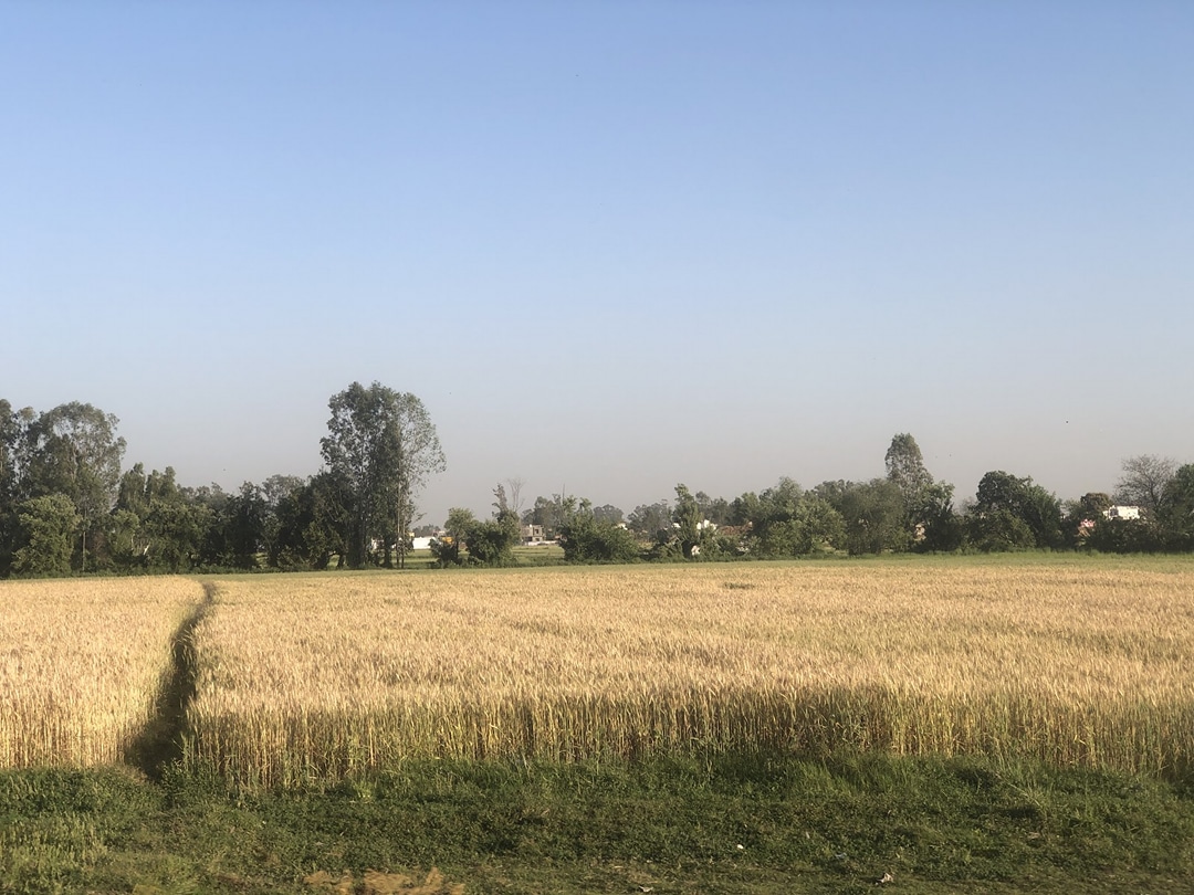 Ranbir Singh Pura