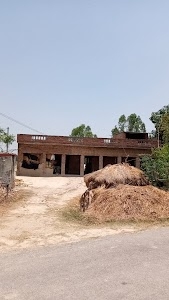 Dilwal