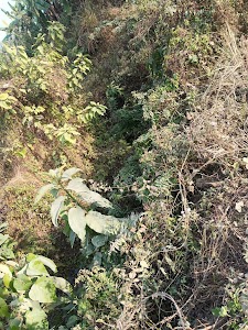 Bishnupur