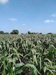 Moin Patil Farm House