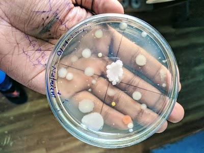 Raiganj University Microbiology Department