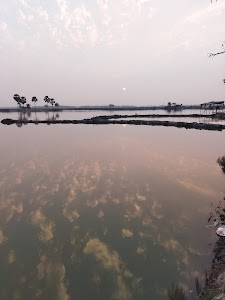 Machibhanga