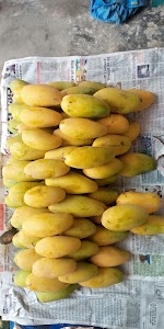 Koyna Vasahat, Dindoshipada, Malad East