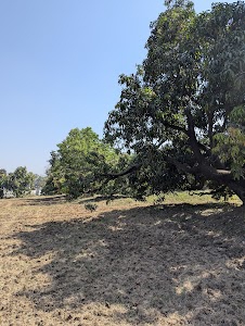 Mohangam