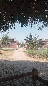 Dodara