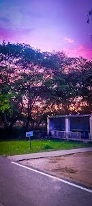 Zinc Nagar