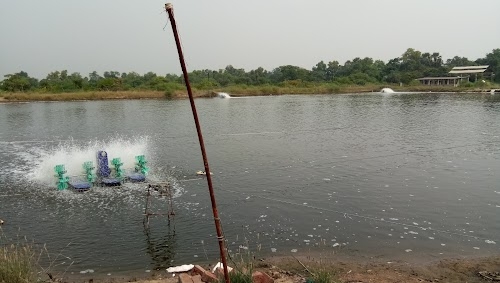 Vikas Nagar Talav