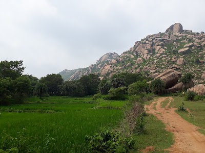 Palajori