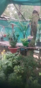 Indian Brothers House